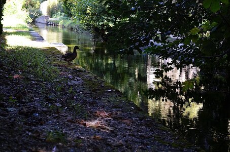 15-Facettes de Valence, Canal de la Marquise 09