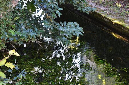15-Facettes de Valence, Canal de la Marquise 13