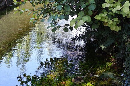 15-Facettes de Valence, Canal de la Marquise 14