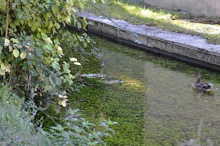 15-Facettes de Valence, Canal de la Marquise 15