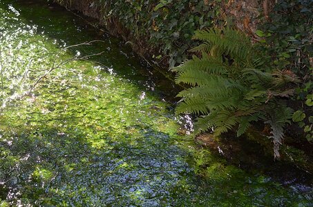 15-Facettes de Valence, Canal de la Marquise 17