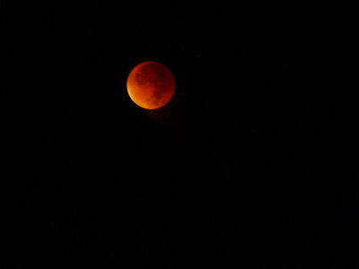 Lune de sang, P1100020