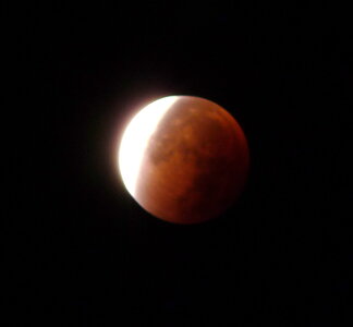 Lune de sang, P1100039