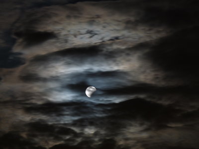 Lune de sang, ET voilà. Si ça vous a paru long, dites vous que j'en ai effacé les 2/3 ...