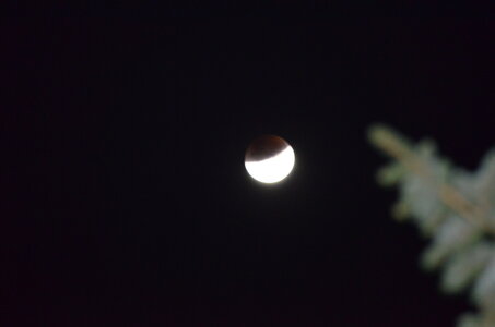 ECLIPSE DE LUNE, DSC_1345 - Copie