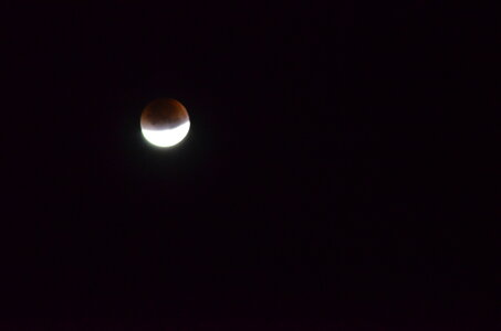 ECLIPSE DE LUNE, DSC_1350 - Copie