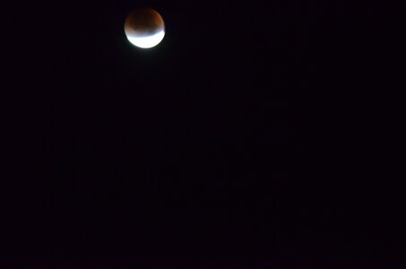 ECLIPSE DE LUNE, DSC_1353