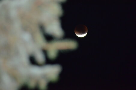 ECLIPSE DE LUNE, DSC_1354