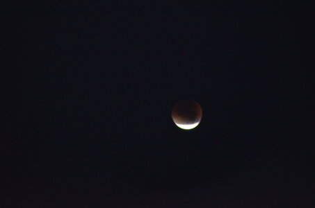 ECLIPSE DE LUNE, DSC_1357
