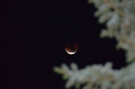 ECLIPSE DE LUNE, DSC_1359