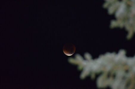 ECLIPSE DE LUNE, DSC_1361