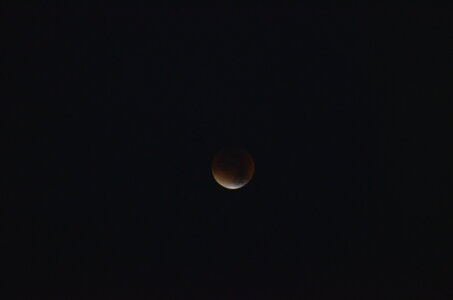 ECLIPSE DE LUNE, DSC_1363