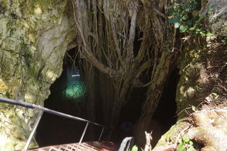 Voyage Partagé MEXIQUE GUATEMALA, Cenote, Yucatan, Mexico