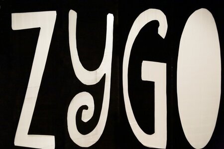 ZYGOMATIC Festival #7, du 18 au 28 mars 2016, 568 WEB
