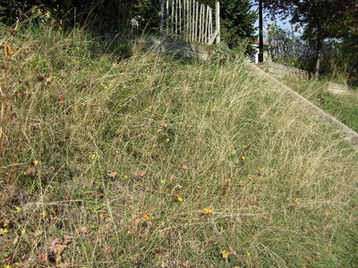 LePerreux - Cop21, IMG_2881