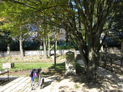 LePerreux - Cop21, IMG_2885