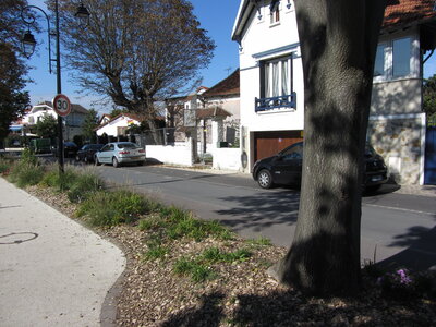 LePerreux - Cop21, IMG_2905