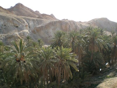 Tunisie 2009, CIMG0672