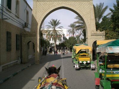 Tunisie 2009, CIMG0720