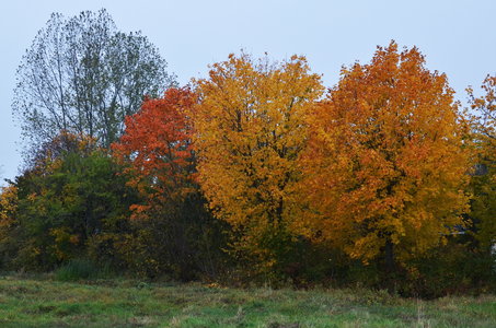 38-Couleurs Suède 2015(L'automne sur l'île Öland)., Automne suèdois 01