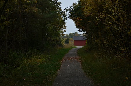 38-Couleurs Suède 2015(L'automne sur l'île Öland)., Automne suèdois 03