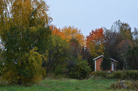 38-Couleurs Suède 2015(L'automne sur l'île Öland)., Automne suèdois 05