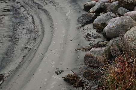 38-Couleurs Suède 2015(L'automne sur l'île Öland)., Crique á Köpinsvik 07