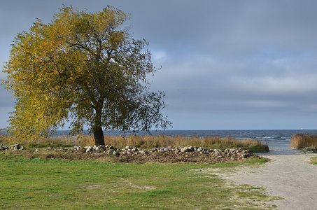 38-Couleurs Suède 2015(L'automne sur l'île Öland)., Automne suèdois 09