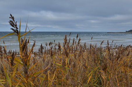 38-Couleurs Suède 2015(L'automne sur l'île Öland)., Automne suèdois 10