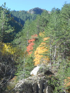 2015-10-17 couleurs clues de Barles, DSCN3225