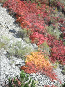 2015-10-17 couleurs clues de Barles, DSCN3226