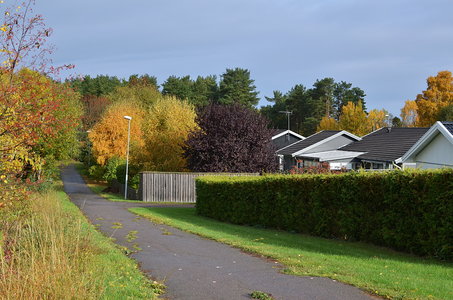 38-Couleurs Suède 2015(L'automne sur l'île Öland)., sur la piste cyclable de Köpingsvik 20
