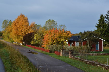 38-Couleurs Suède 2015(L'automne sur l'île Öland)., Sur la piste cyclable de Köpingsvik 23