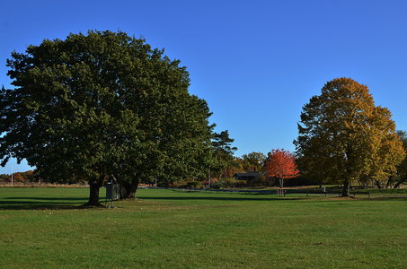 38-Couleurs Suède 2015(L'automne sur l'île Öland)., Borgholm á l’automne 30