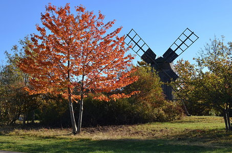 38-Couleurs Suède 2015(L'automne sur l'île Öland)., Borgholm á l’automne 31
