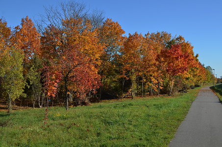 38-Couleurs Suède 2015(L'automne sur l'île Öland)., Sur la piste cyclable de Köpingsvik 33
