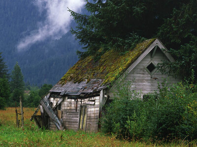 0 essai, Cabane dans un champ