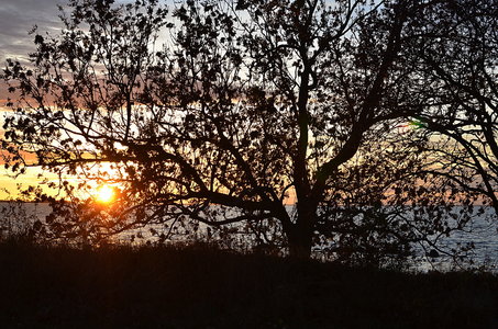 38-Couleurs Suède 2015(L'automne sur l'île Öland)., Lundegård 47