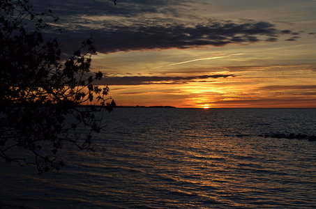 38-Couleurs Suède 2015(L'automne sur l'île Öland)., Lundegård 49