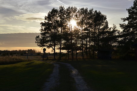38-Couleurs Suède 2015(L'automne sur l'île Öland)., Sjöäsen 42