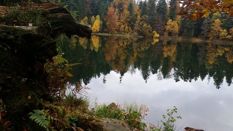 Lac de Maix, 12177603_10208325697648220_440277887_o