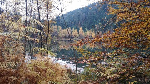 Lac de Maix, 12177651_10208325696728197_43043498_o