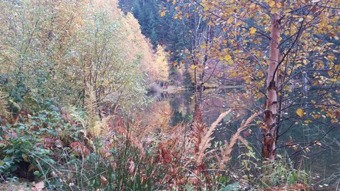 Lac de Maix, 12180574_10208325702368338_727287191_o