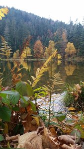 Lac de Maix, 12185724_10208325607165958_327167082_o