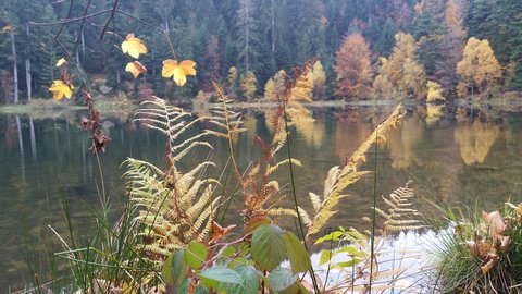 Lac de Maix, 12190253_10208325702928352_246040334_o