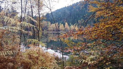 Lac de la maix, 12177651_10208325696728197_43043498_o