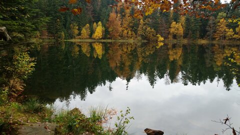 Lac de la maix, 12181065_10208325698088231_293009624_o