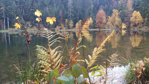 Lac de la maix, 12190253_10208325702928352_246040334_o