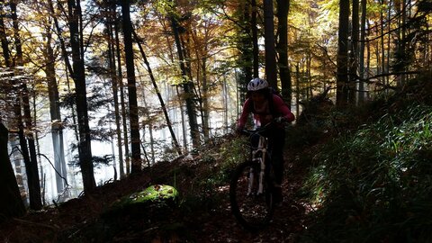 ROCHER DU COUCOU, 12192804_10208364324733873_2033489727_o