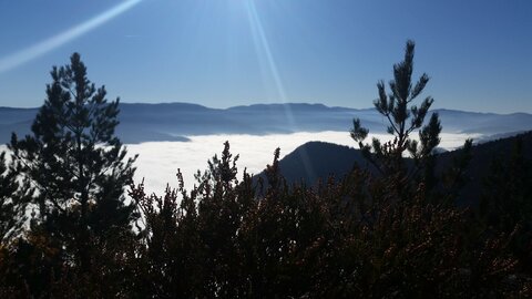 ROCHER DU COUCOU, 12204210_10208365213156083_1313253335_o